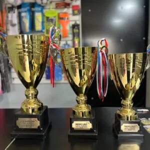 Trofeos personalizados en oro para campeones de eventos deportivos y competencias.