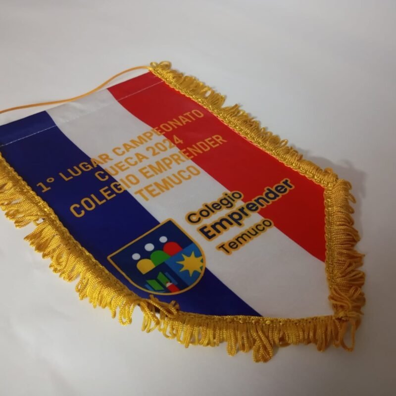 Banderín Colegio de Emprendedores