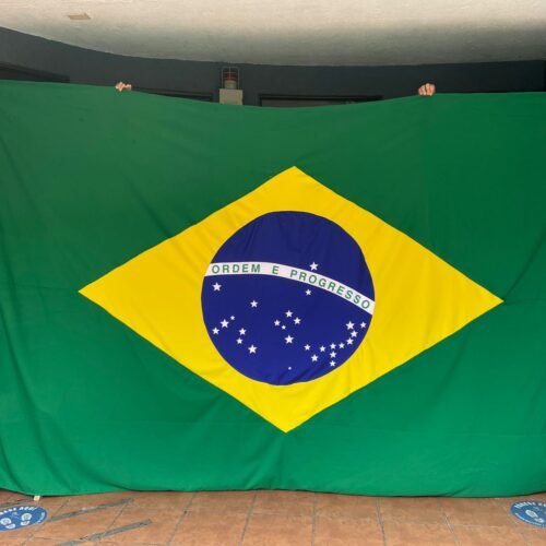 Manifestación de orgullo nacional con la bandera de Brasil en celebración pública.