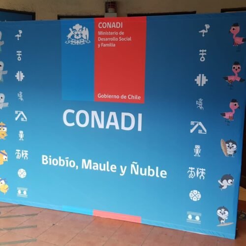 Fondo vibrante de CONADI para promover la cultura indígena en Biobío, Maule y Ñuble.