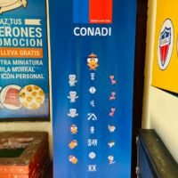 Banderín de CONADI: Promoviendo la inclusión social y la cultura indígena en Chile.