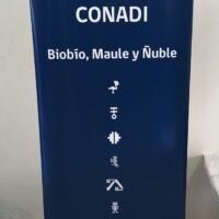 Pendón profesional de CONADI para el desarrollo indígena en Biobío, Maule y Ñuble.