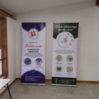 Banners educativos sobre iniciativas para fortalecer la educación infantil y el desarrollo infantil.